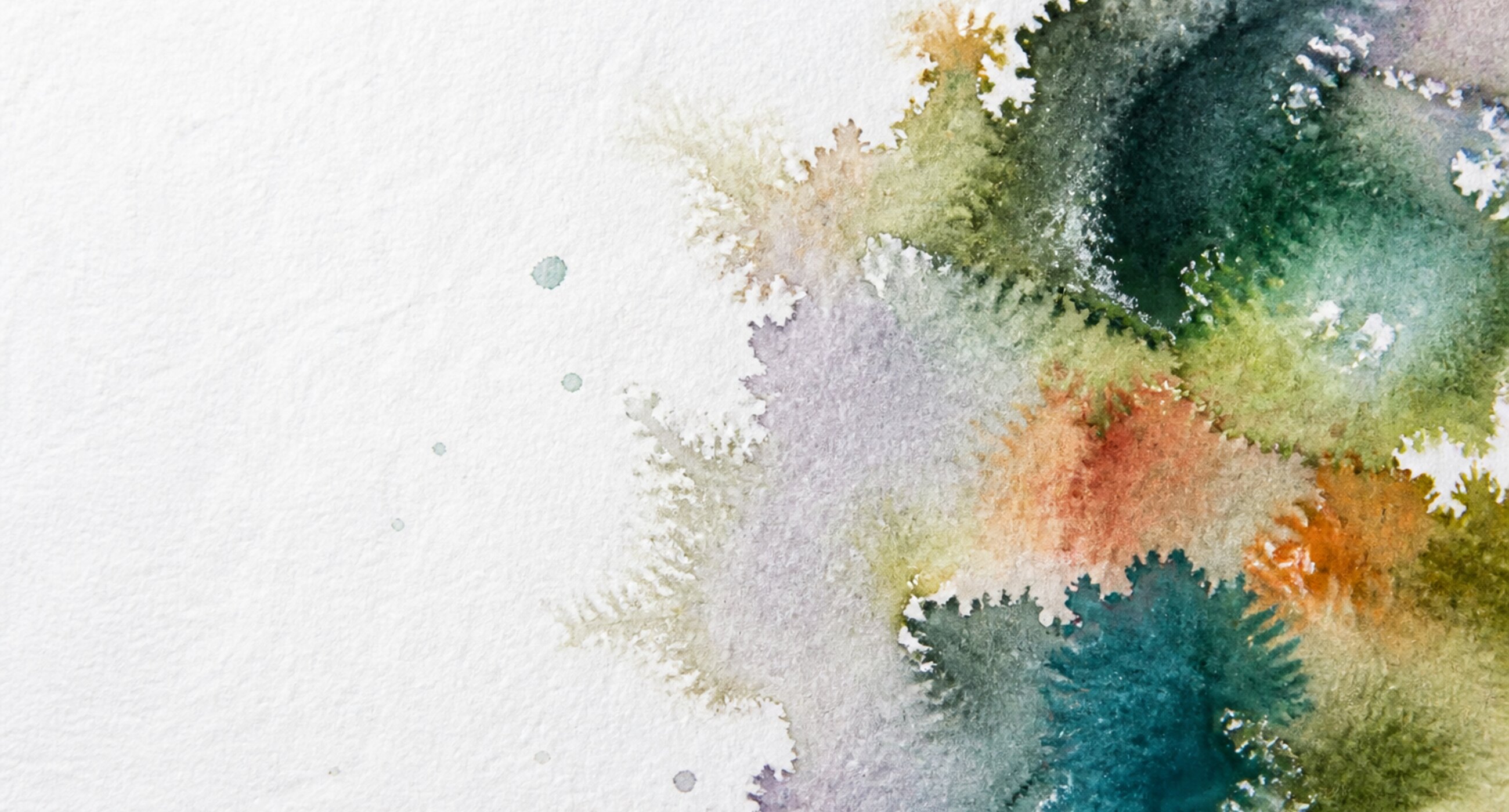 A watercolour bloom spreading across white paper, teal and olive running into orange at the edges.